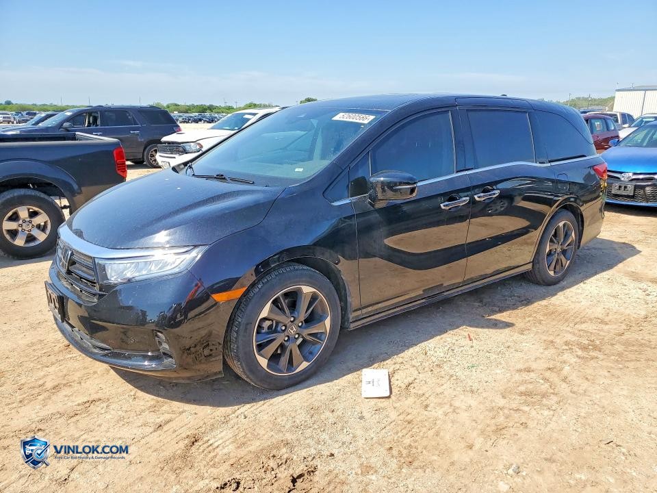 2024 HONDA ODYSSEY ELITE – Lot 52600566 auction photo
