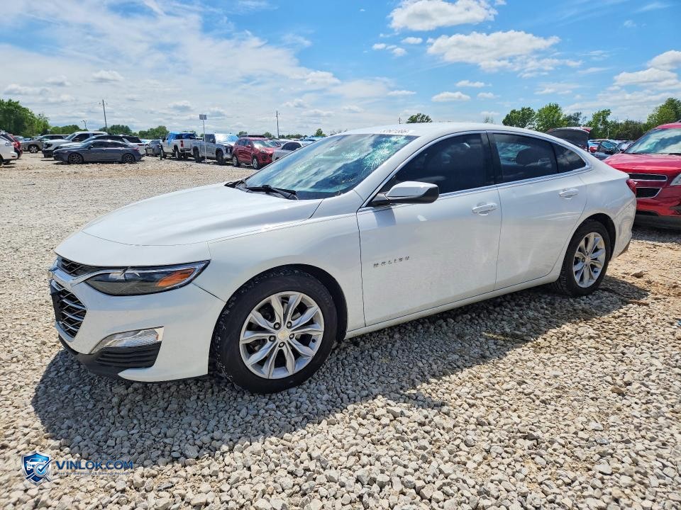 2023 CHEVROLET MALIBU LT – Lot 52601896 auction photo