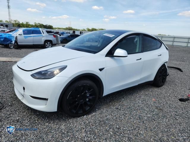 2023 TESLA MODEL Y – Lot 52606696 auction photo