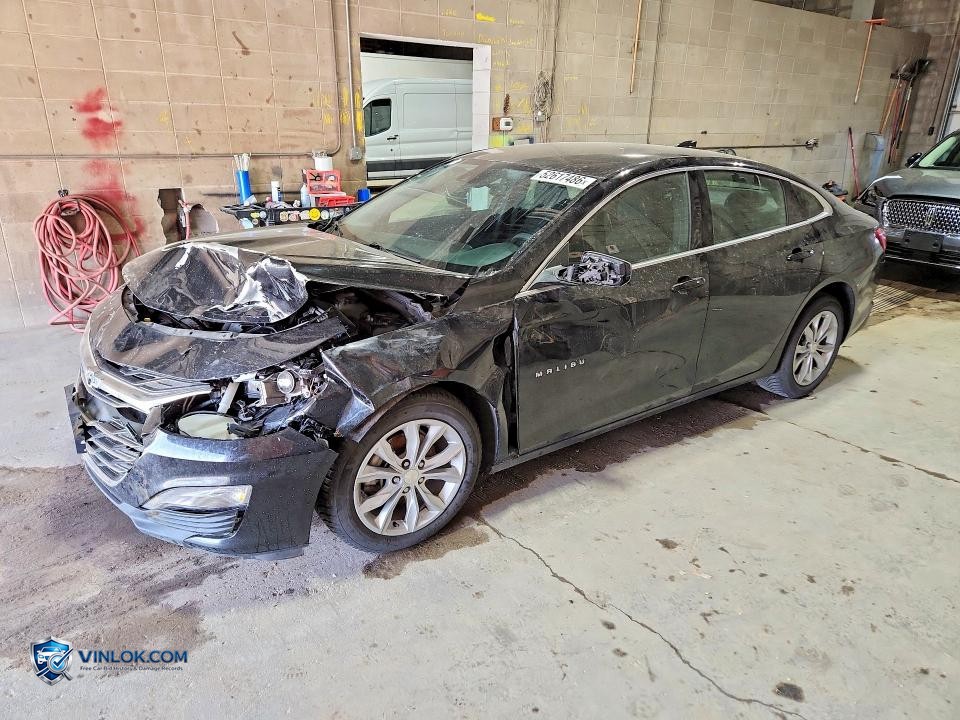 2023 CHEVROLET MALIBU 1LT – Lot 52617486 auction photo