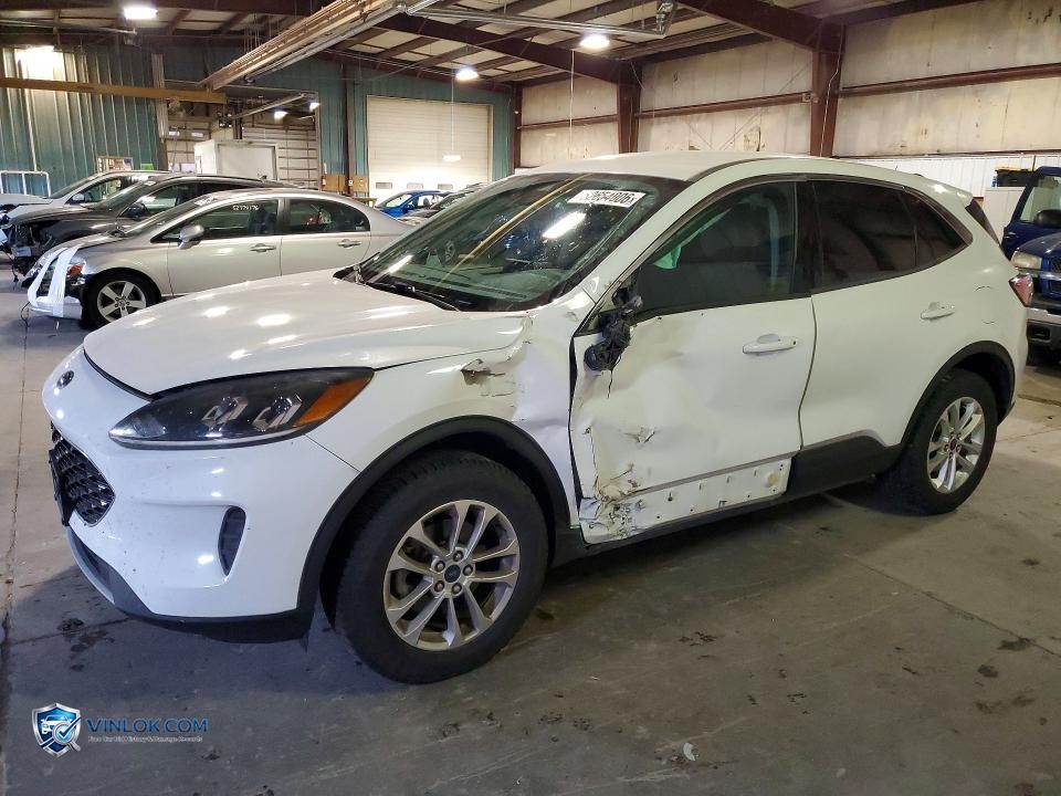2020 FORD ESCAPE SE – Lot 52654006 auction photo