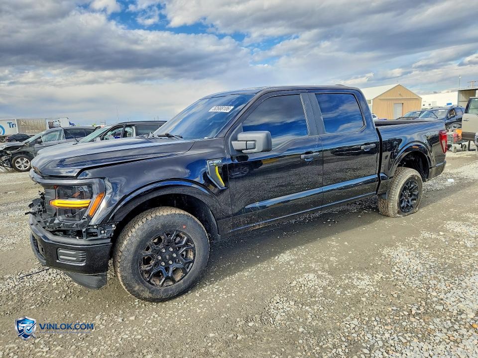 2025 FORD F150 STX – Lot 52688106 auction photo