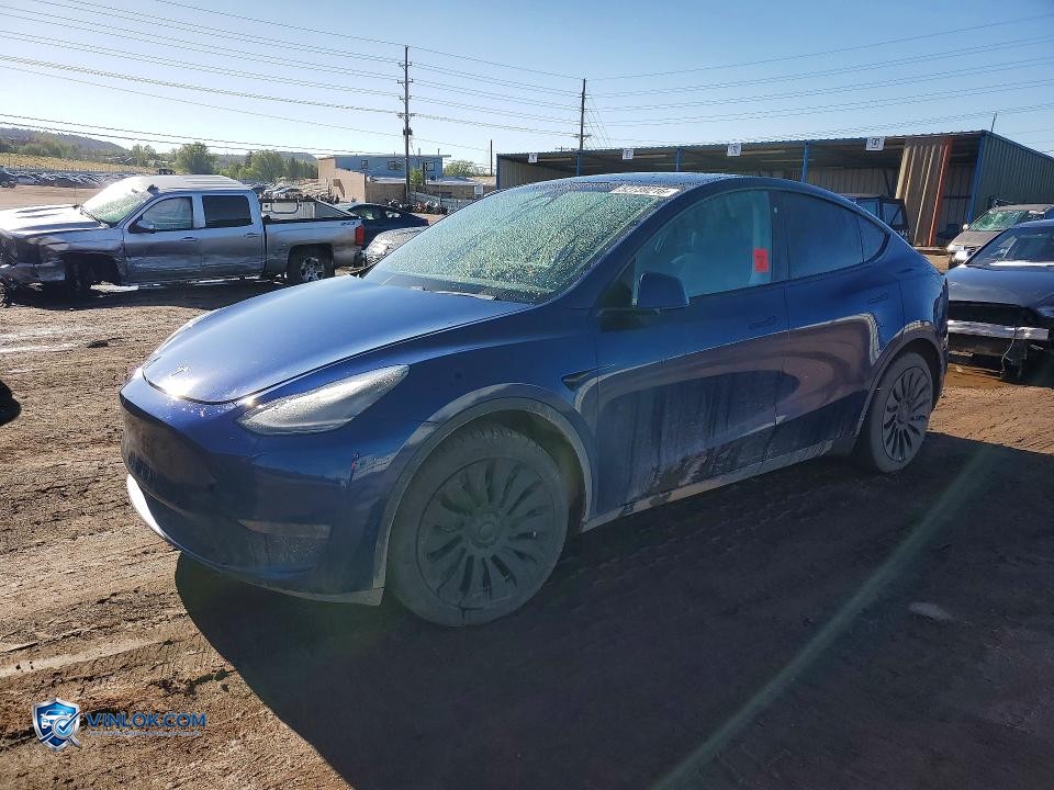 2020 TESLA MODEL Y – Lot 52739216 auction photo