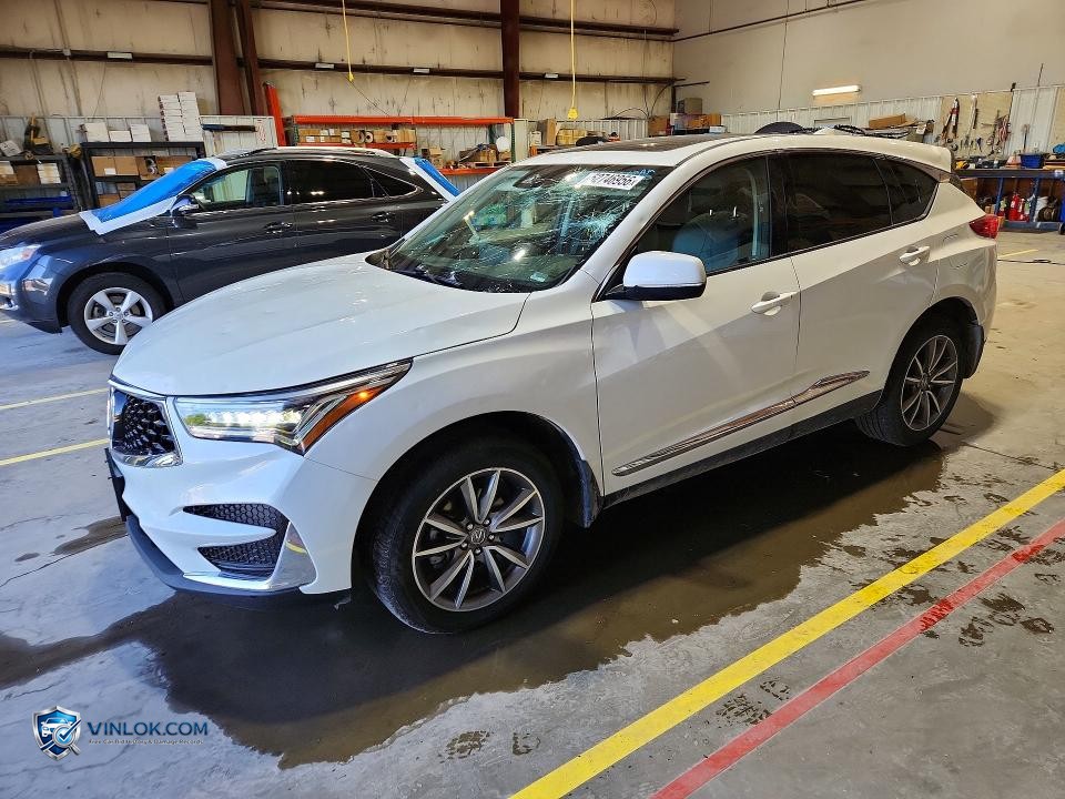 2019 ACURA RDX TECHNOLOGY – Lot 52746956 auction photo