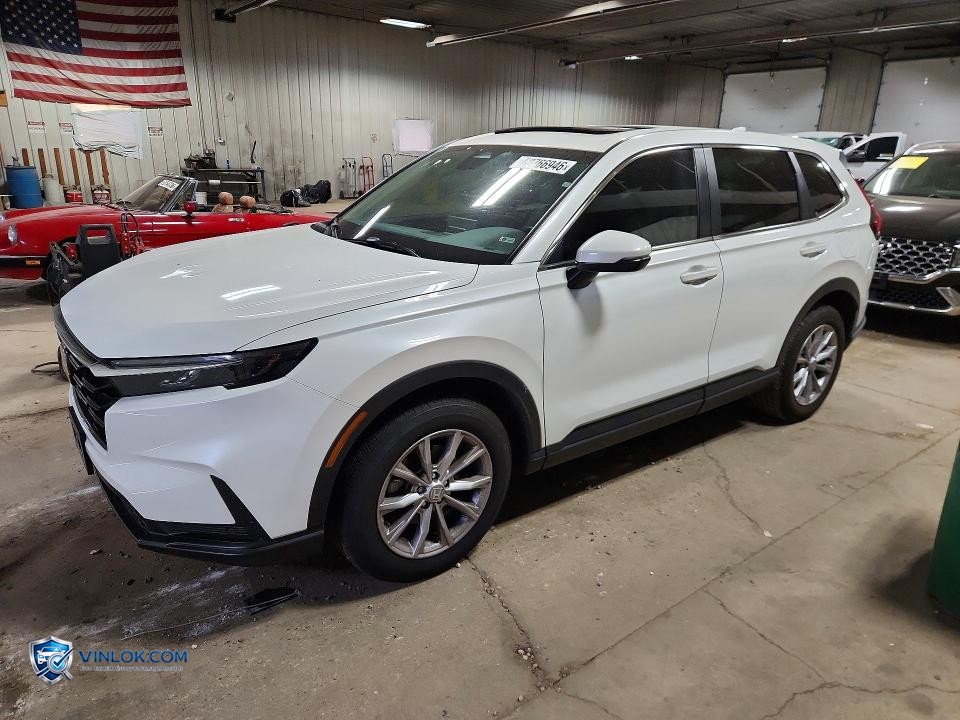 2023 HONDA CR-V EXL – Lot 52766946 auction photo