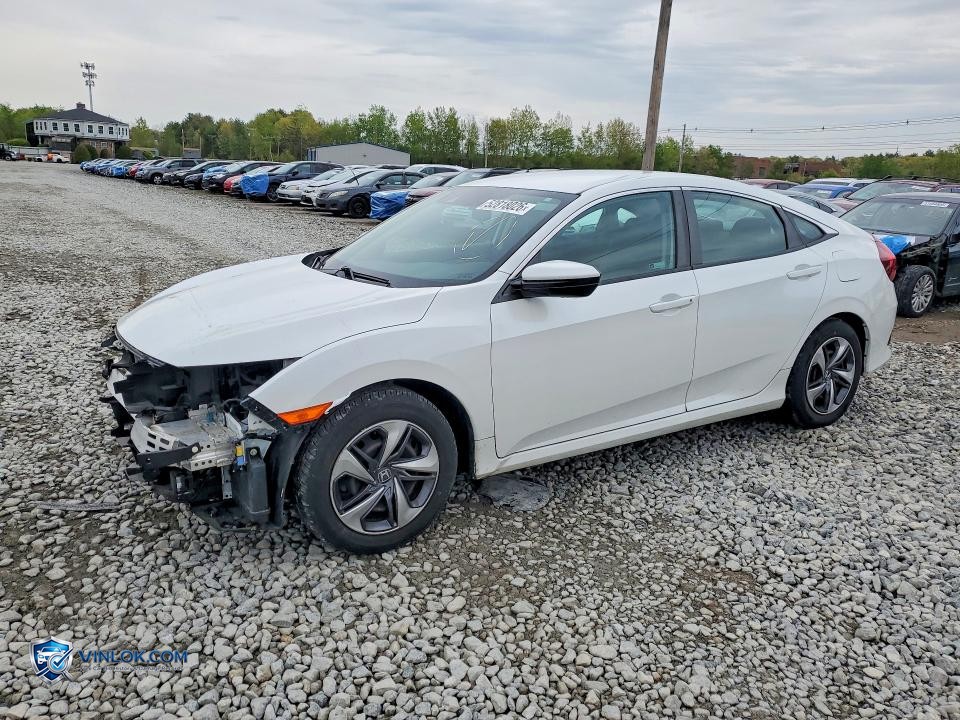 2020 HONDA CIVIC LX – Lot 52818026 auction photo