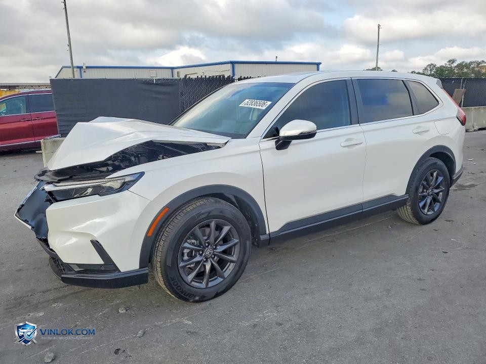 2026 HONDA CR-V EXL – Lot 52836506 auction photo