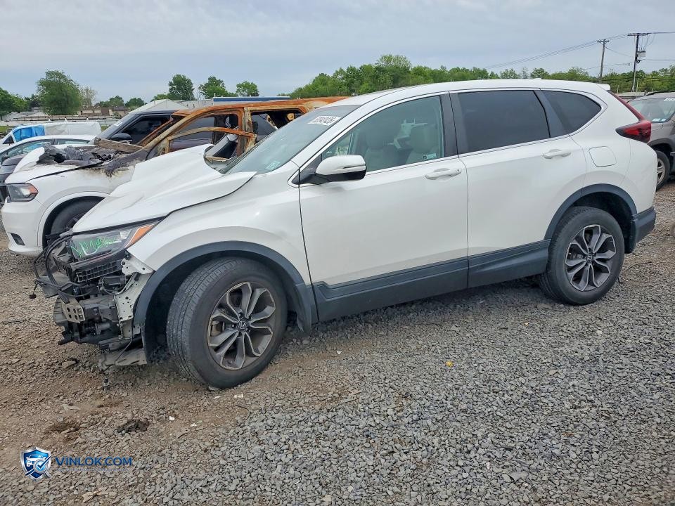 2022 HONDA CR-V EXL – Lot 52842426 auction photo