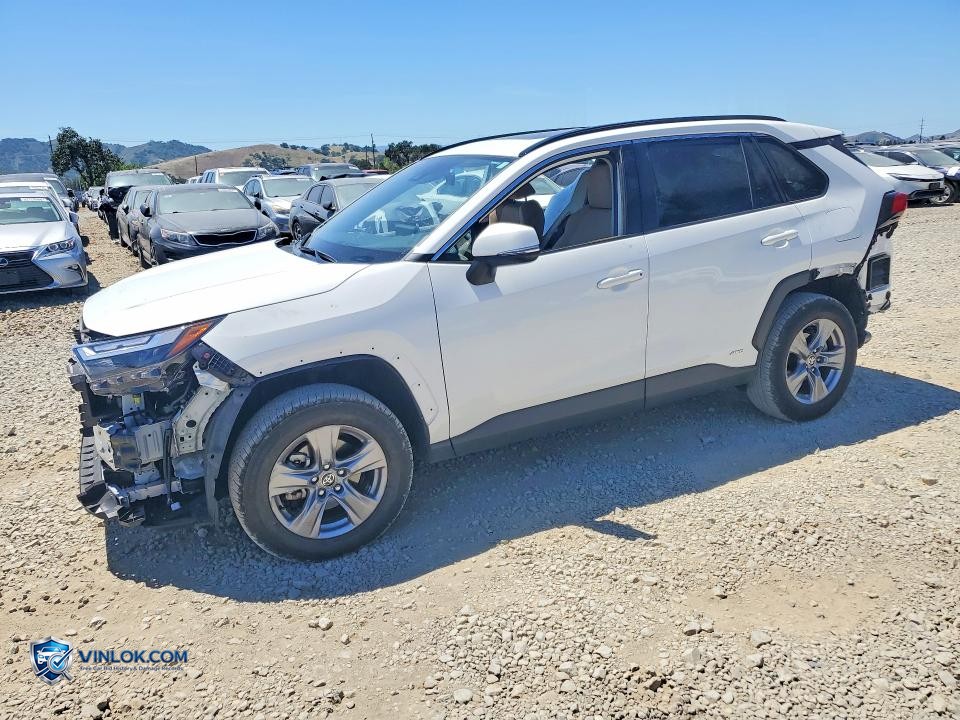 2025 TOYOTA RAV4 HYBRID XLE – Lot 52853376 auction photo