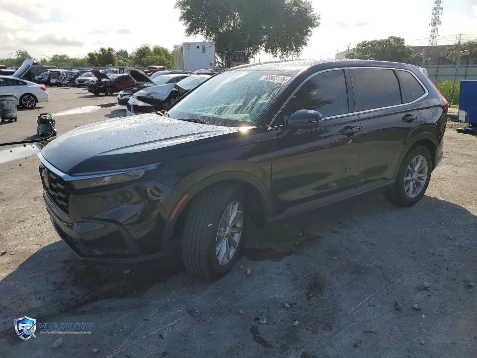 2025 HONDA CR-V EXL – Lot 52863196 auction photo