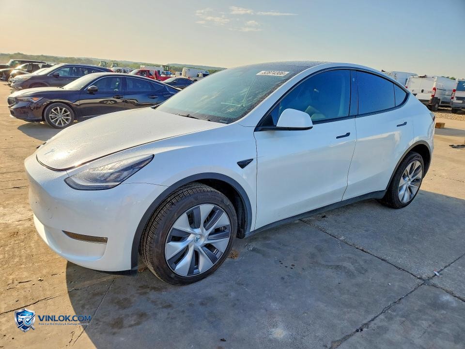 2023 TESLA MODEL Y – Lot 52874306 auction photo