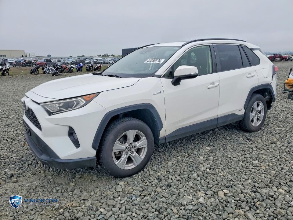 2019 TOYOTA RAV4 HYBRID XLE – Lot 52886676 auction photo