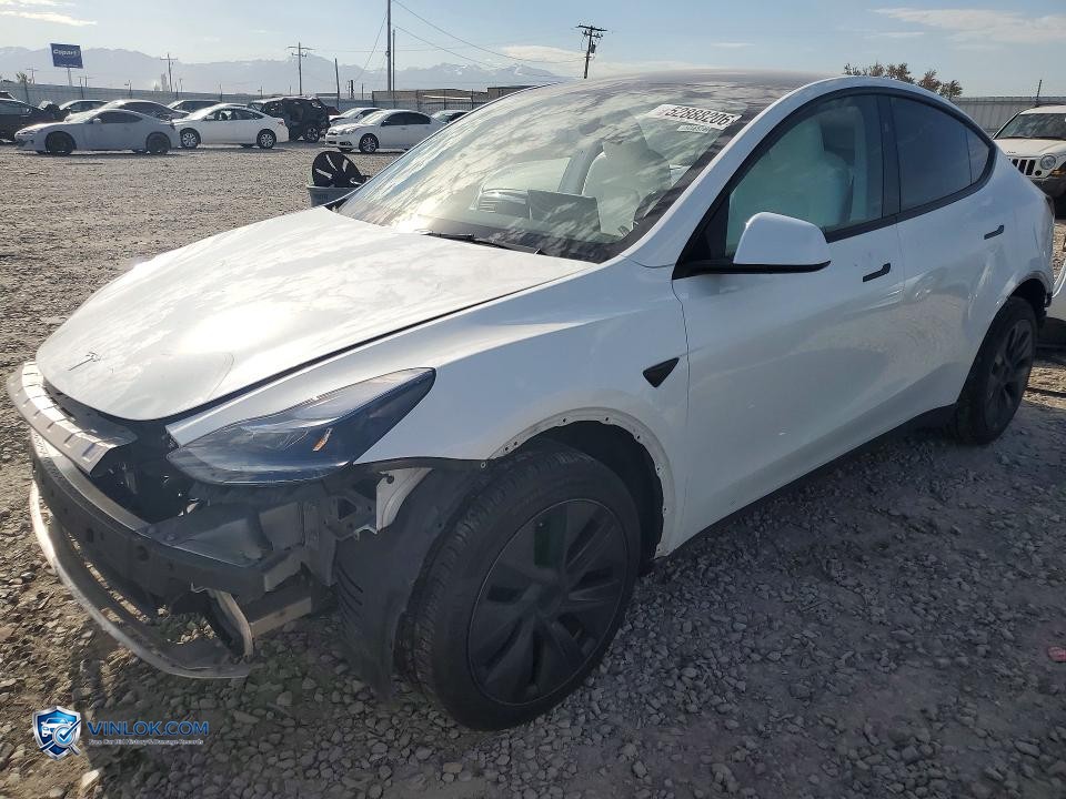 2025 TESLA MODEL Y – Lot 52888206 auction photo