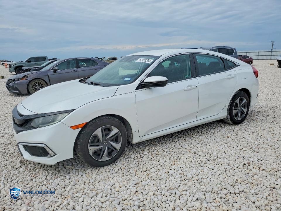 2020 HONDA CIVIC LX – Lot 52891366 auction photo