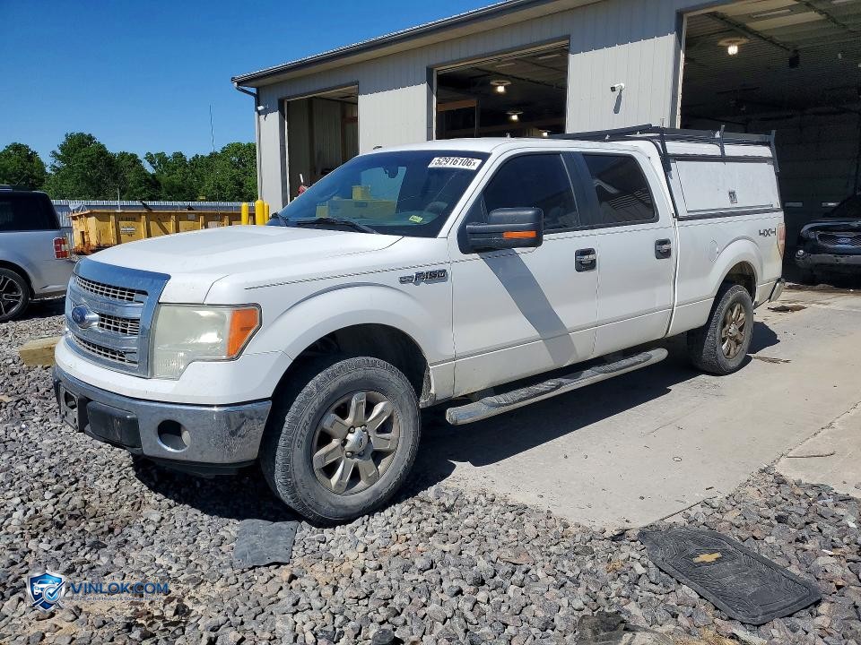 2013 FORD F150 – Lot 52916106 auction photo