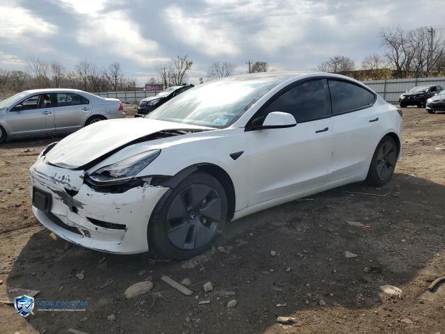 2021 TESLA MODEL 3 – Lot 52934105 auction photo