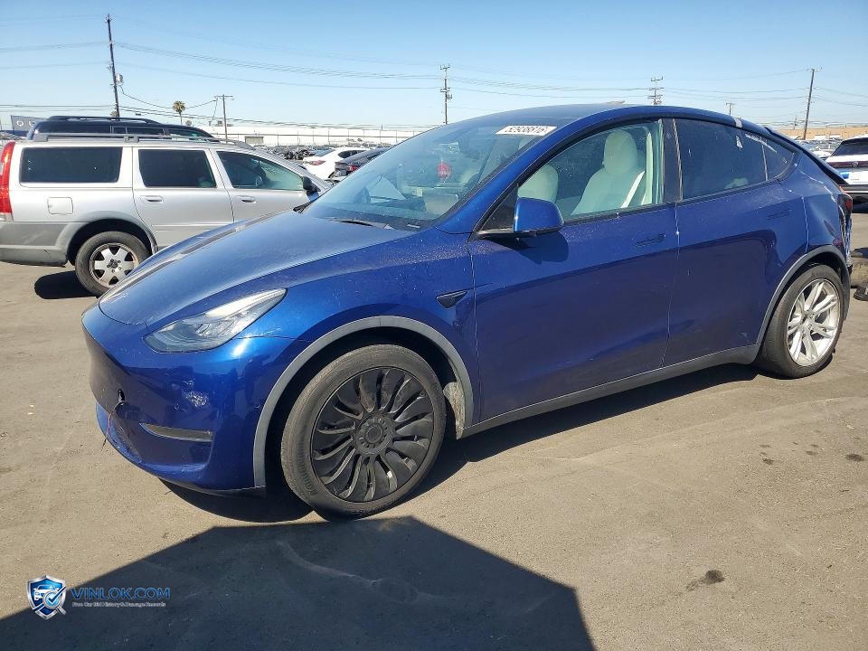 2021 TESLA MODEL Y – Lot 52938816 auction photo