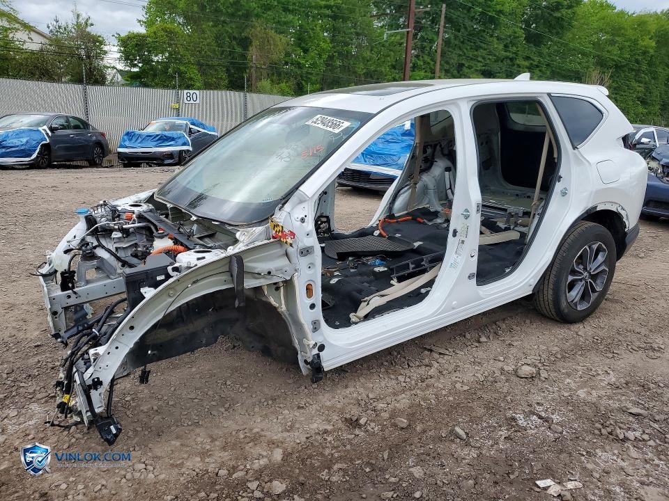 2022 HONDA CR-V EXL – Lot 52948566 auction photo