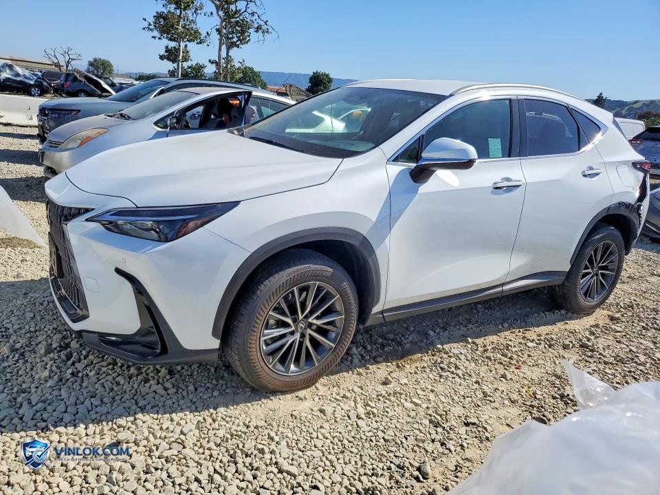 2026 LEXUS NX 350 BASE – Lot 52949706 auction photo