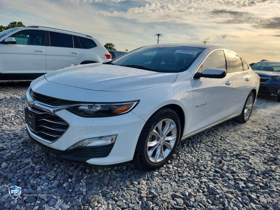 2022 CHEVROLET MALIBU LT – Lot 52965616 auction photo