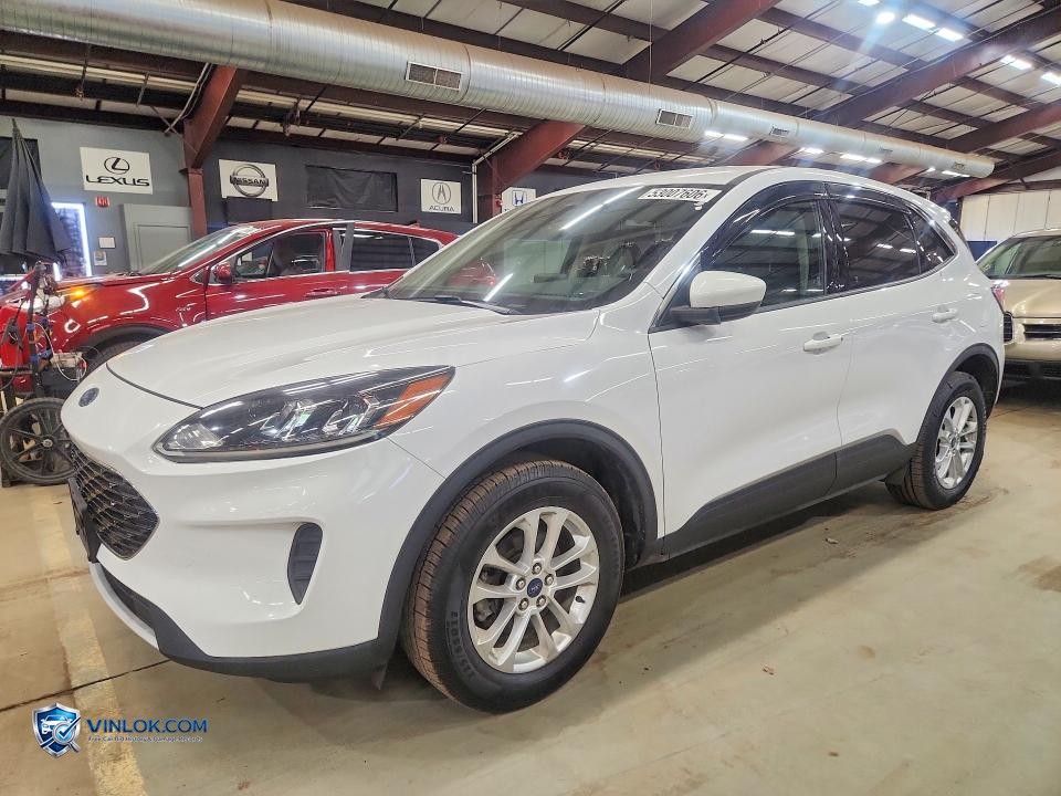 2020 FORD ESCAPE SE – Lot 53007606 auction photo