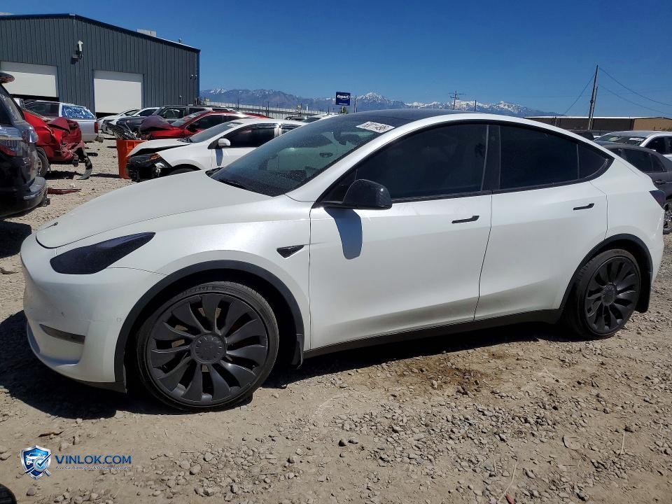 2022 TESLA MODEL Y – Lot 53011496 auction photo