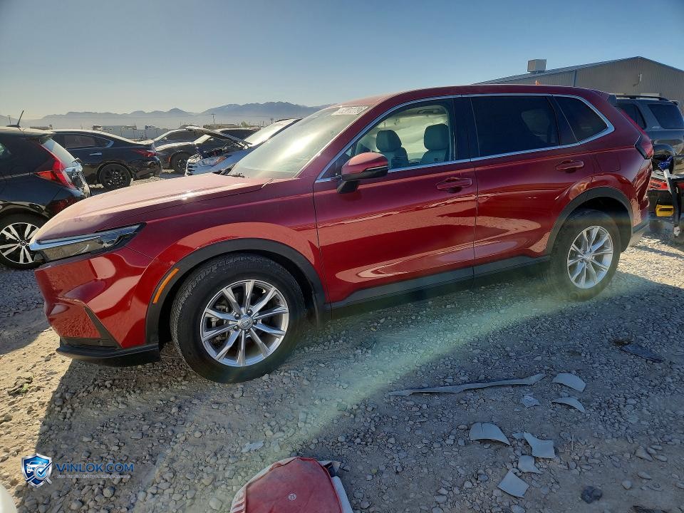 2025 HONDA CR-V EXL – Lot 53012796 auction photo