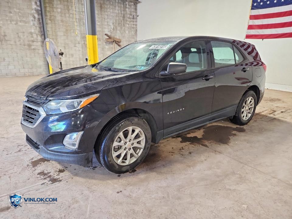 2019 CHEVROLET EQUINOX LS – Lot 53016816 auction photo