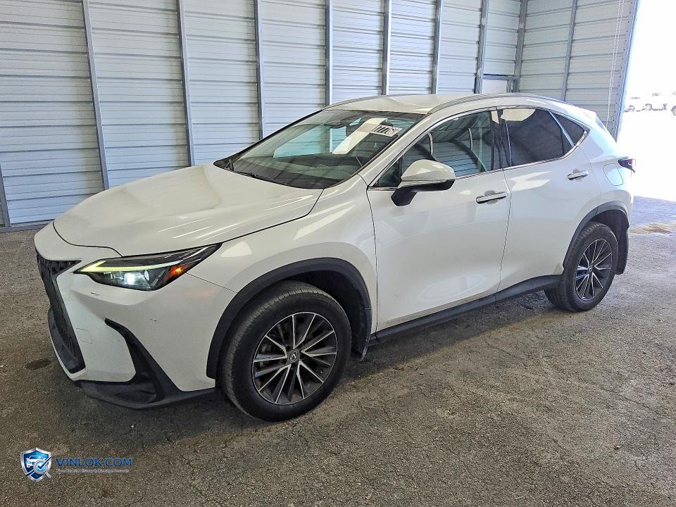 2022 LEXUS NX 250 – Lot 53017776 auction photo