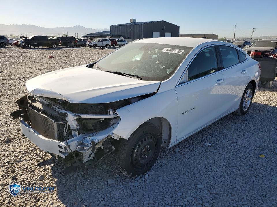 2024 CHEVROLET MALIBU LS – Lot 53057026 auction photo