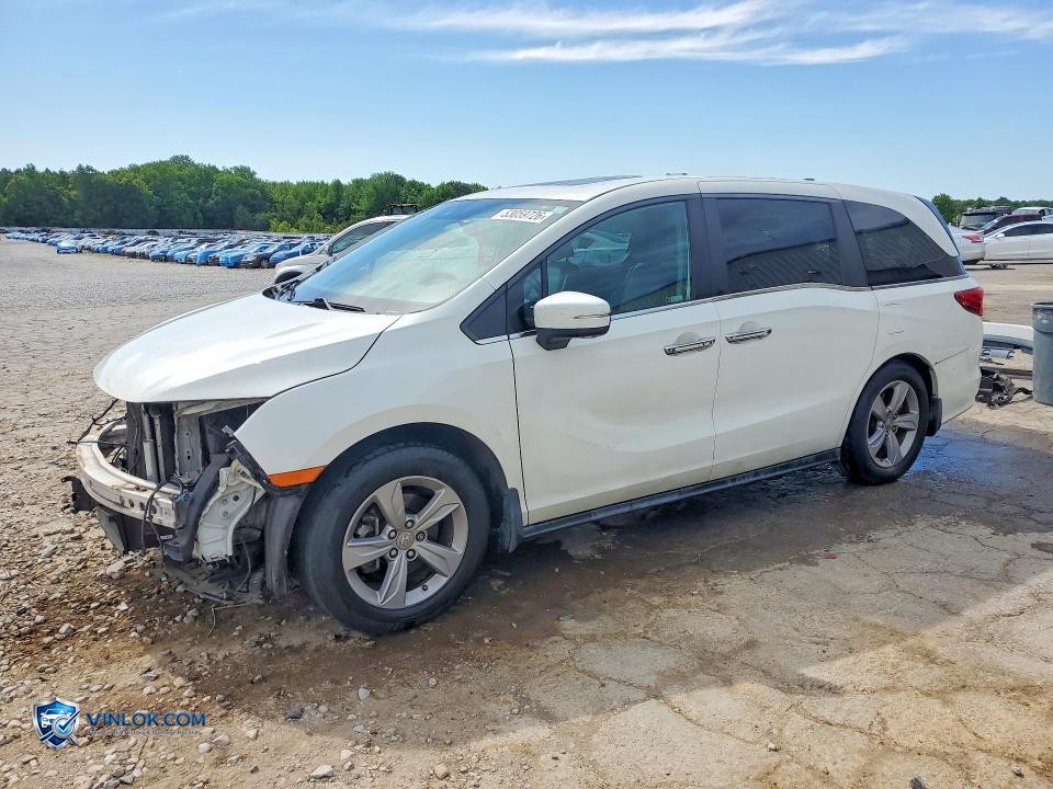 2019 HONDA ODYSSEY EXL – Lot 53059726 auction photo