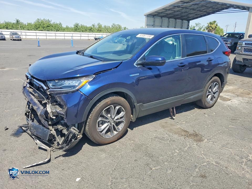 2021 HONDA CR-V EX – Lot 53067736 auction photo