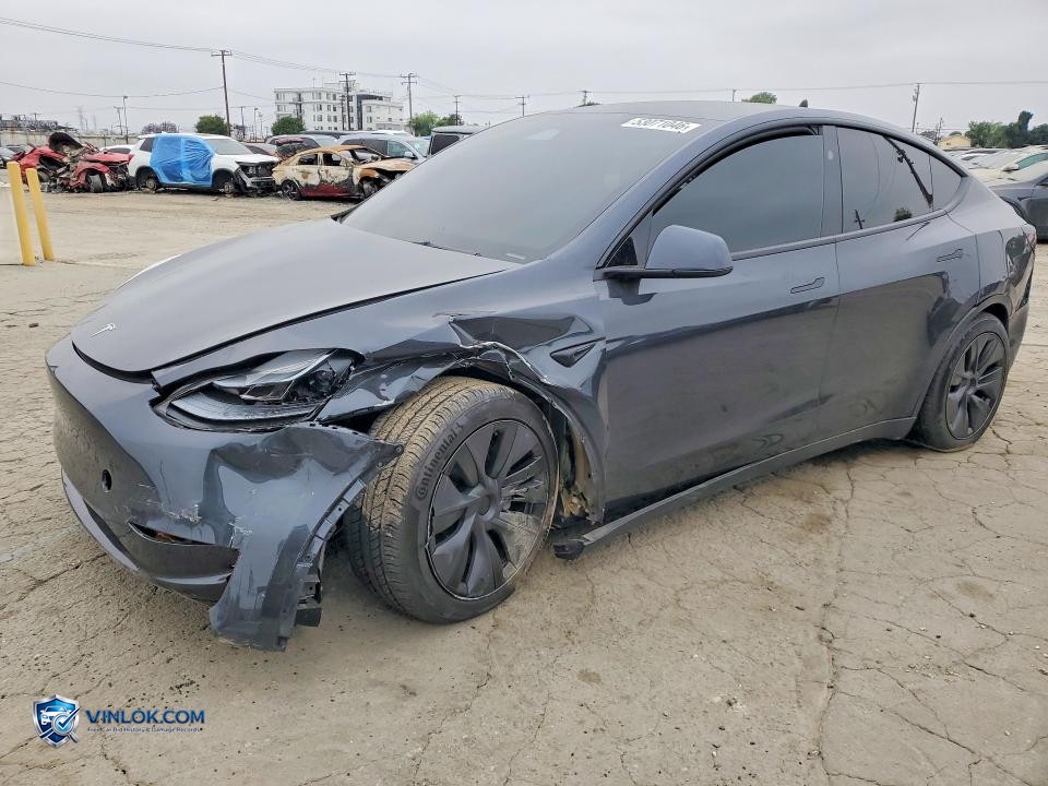 2025 TESLA MODEL Y – Lot 53071046 auction photo