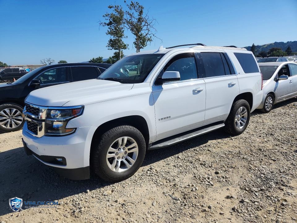 2019 CHEVROLET TAHOE C1500 – Lot 53076136 auction photo