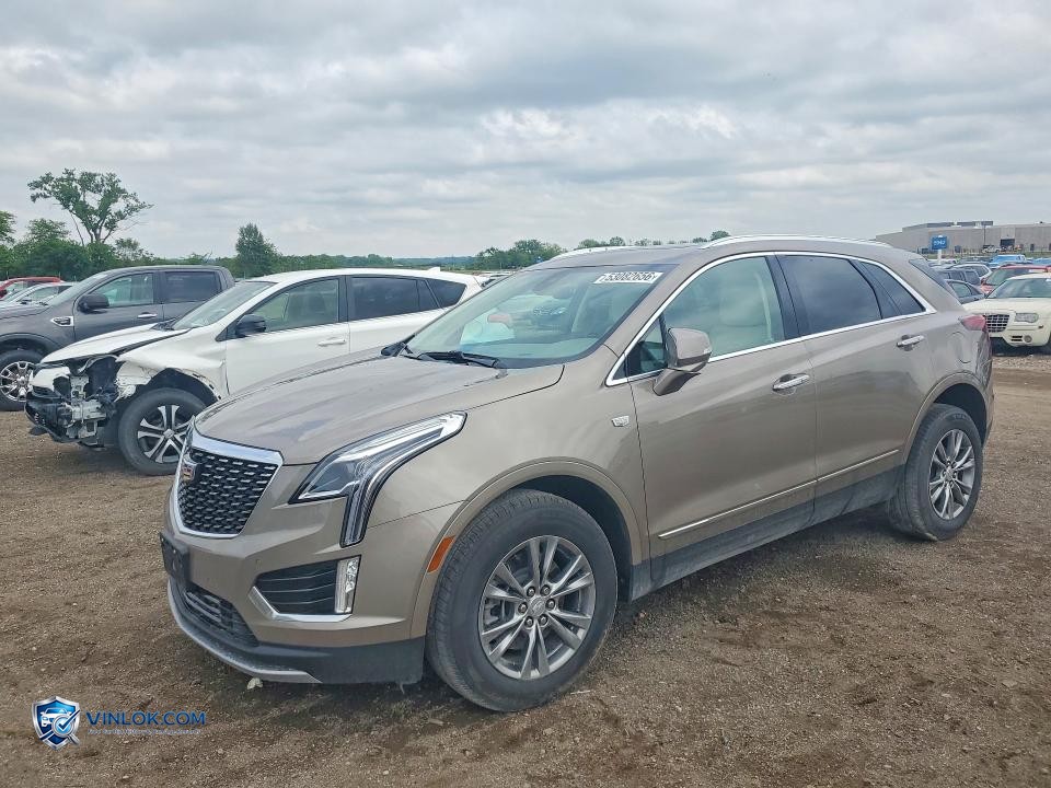 2023 CADILLAC XT5 – Lot 53082656 auction photo