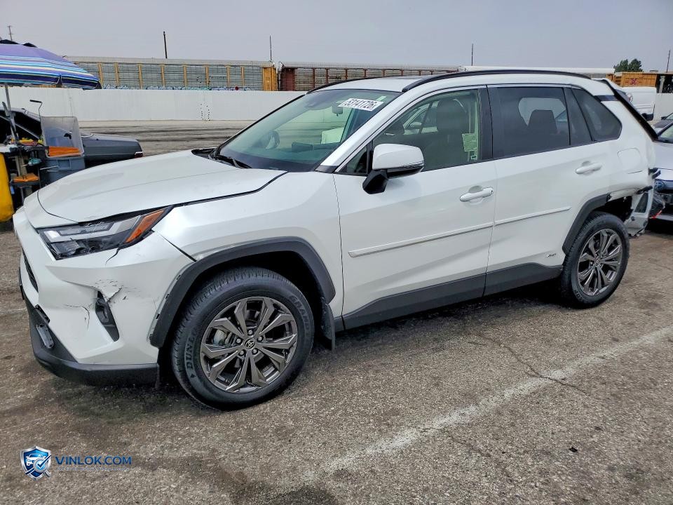 2025 TOYOTA RAV4 XLE PREMIUM – Lot 53141726 auction photo