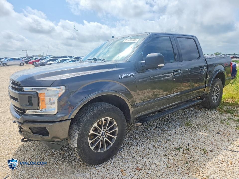2019 FORD F150 SUPERCREW – Lot 53162346 auction photo