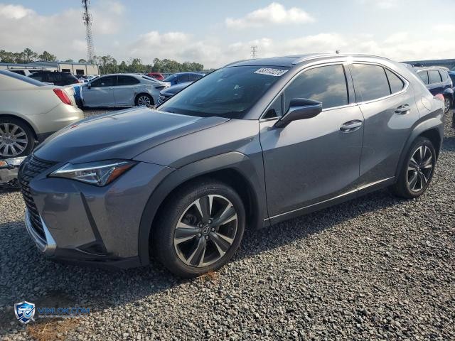 2019 LEXUS UX 200 – Lot 53172276 auction photo