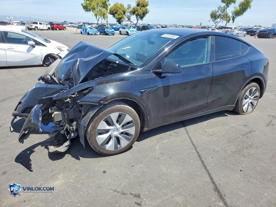 2023 TESLA MODEL Y – Lot 53187686 auction photo