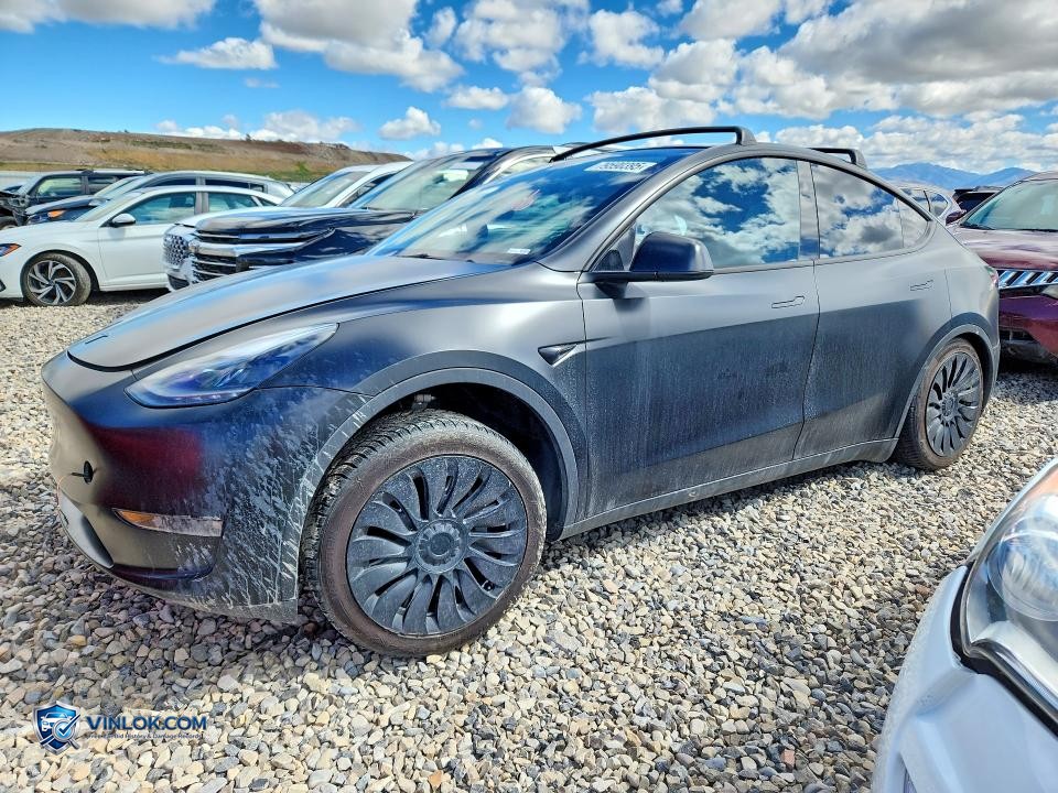 2023 TESLA MODEL Y – Lot 53195156 auction photo