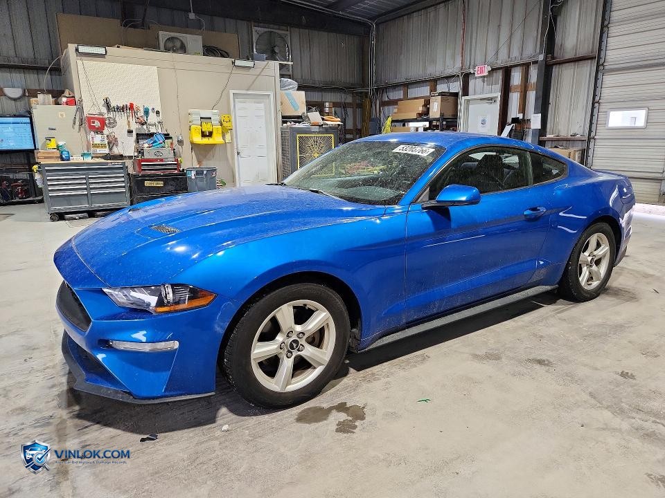 2019 FORD MUSTANG – Lot 53205766 auction photo