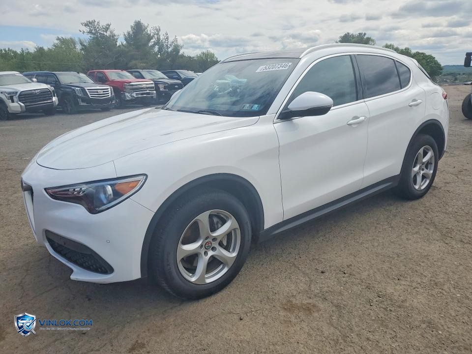 2019 ALFA ROMEO STELVIO – Lot 53207346 auction photo