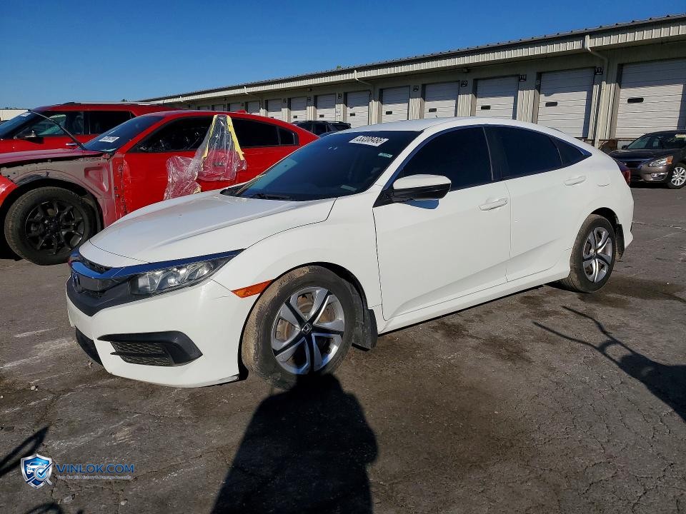 2017 HONDA CIVIC LX – Lot 53208486 auction photo