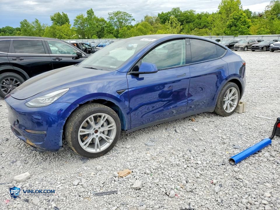 2022 TESLA MODEL Y – Lot 53229956 auction photo