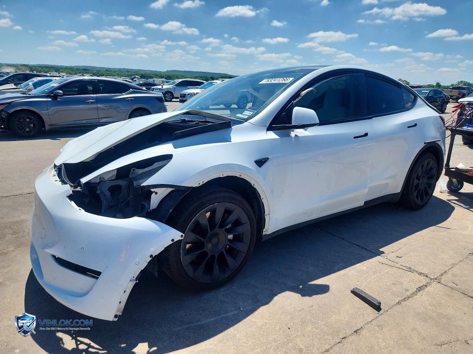 2020 TESLA MODEL Y – Lot 53241266 auction photo