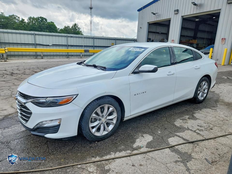 2019 CHEVROLET MALIBU LT – Lot 53241756 auction photo