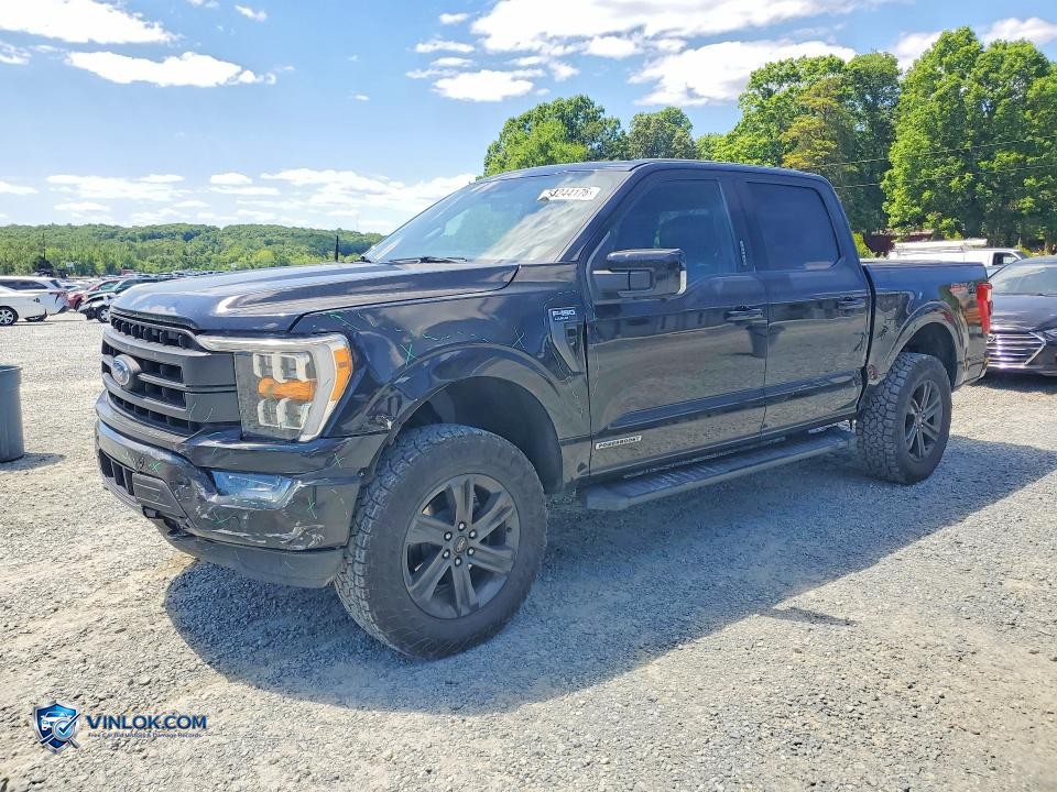 2021 FORD F150 SUPERCREW – Lot 53244176 auction photo