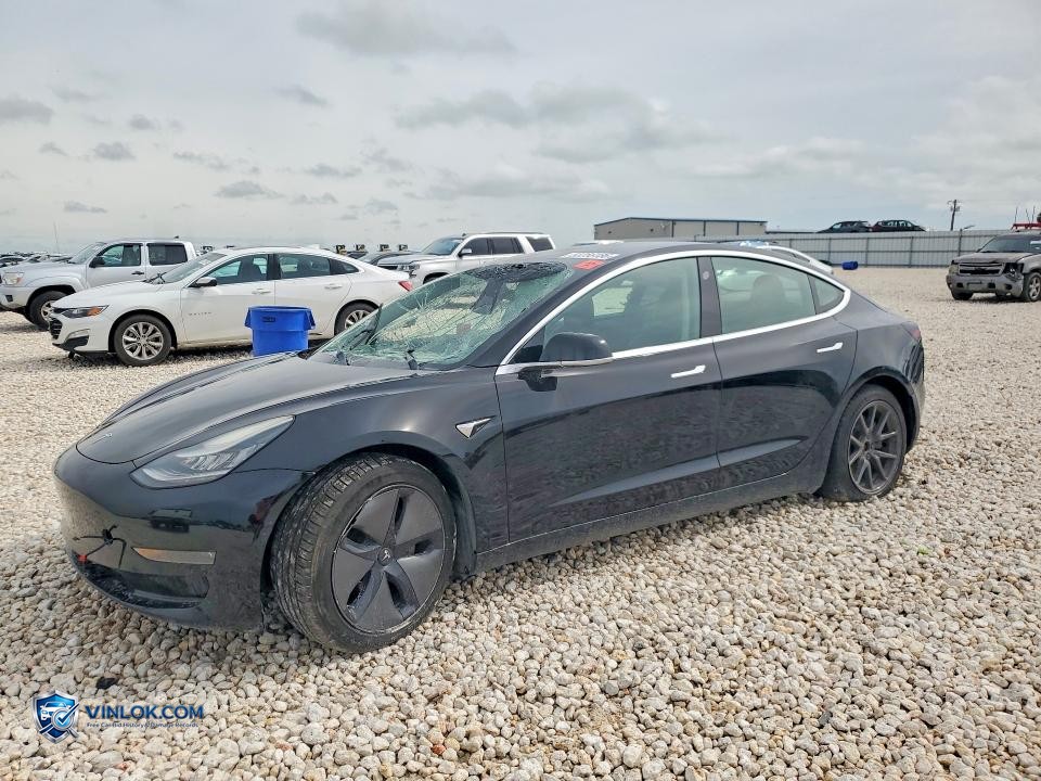 2019 TESLA MODEL 3 – Lot 53256186 auction photo