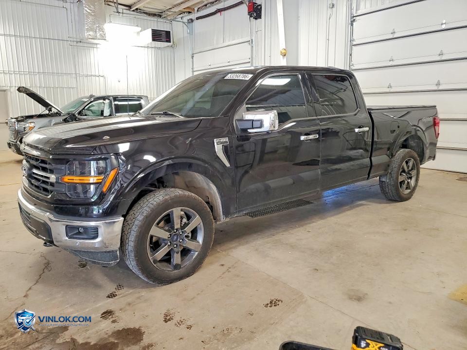 2025 FORD F150 XLT – Lot 53268786 auction photo