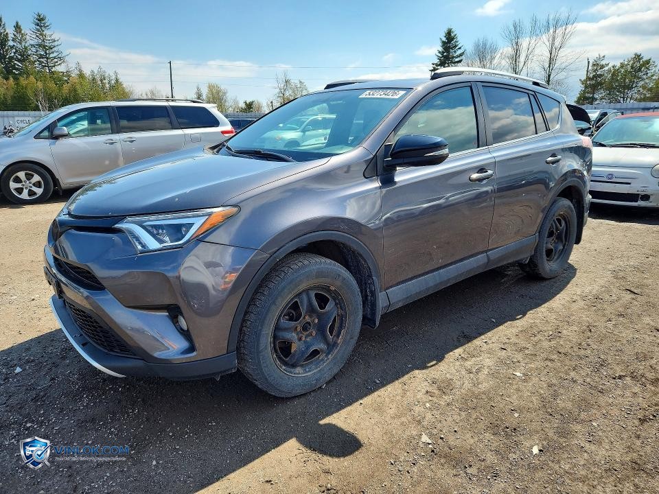 2016 TOYOTA RAV4 SE – Lot 53273426 auction photo